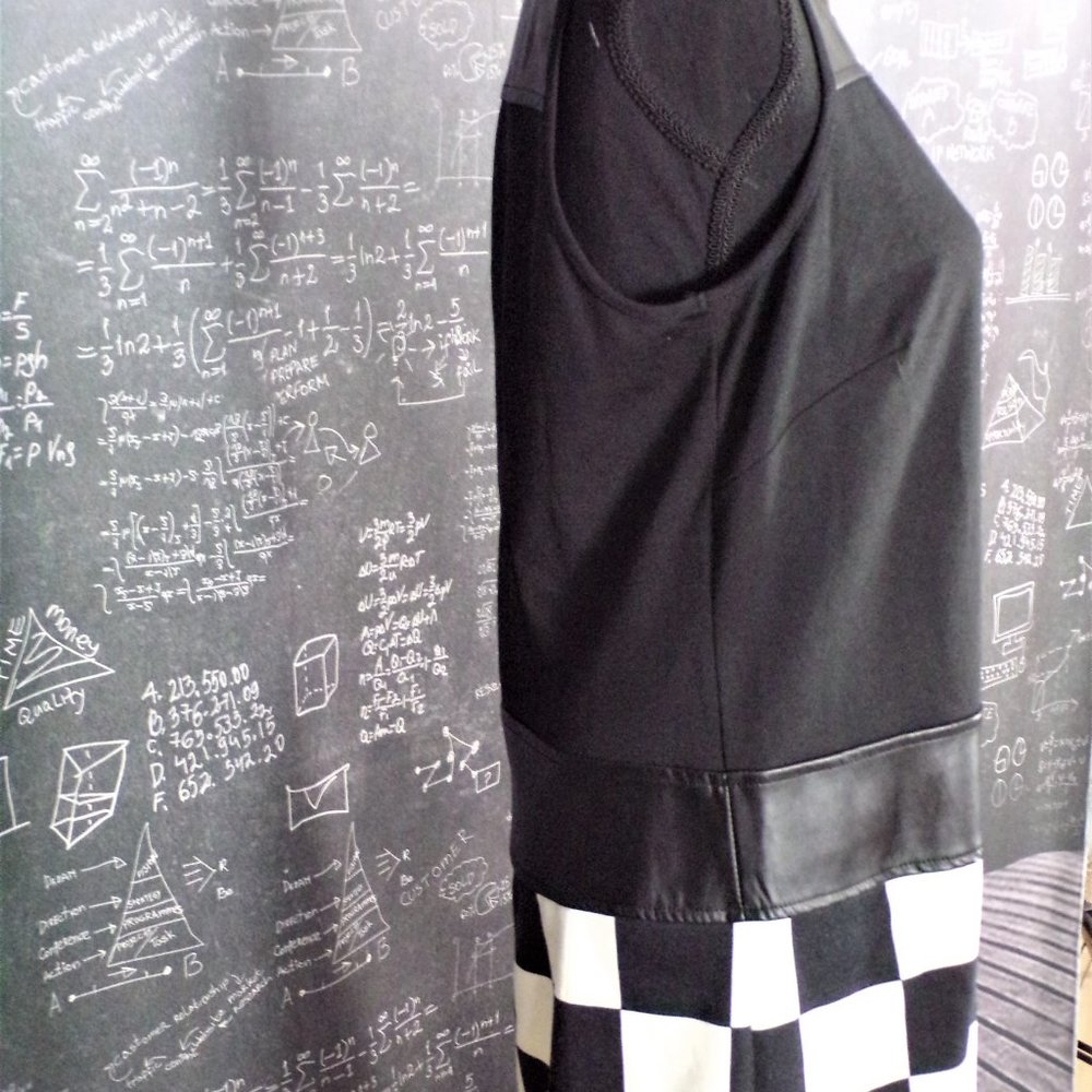 🏁Emma & Michelle Check Shift Dress - Picture 3 of 8